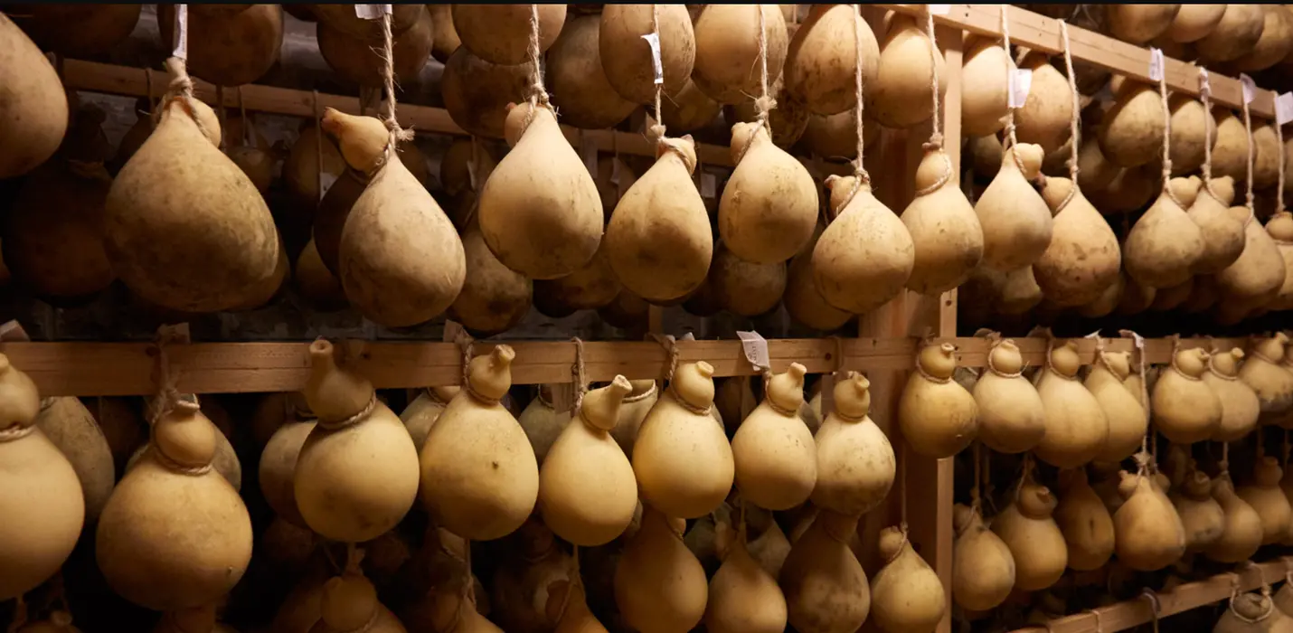 LA 'NDOCCIATA  D'AGNONE, ISERNIA, PIETRABBONDANTE E CASTELPETROSO
