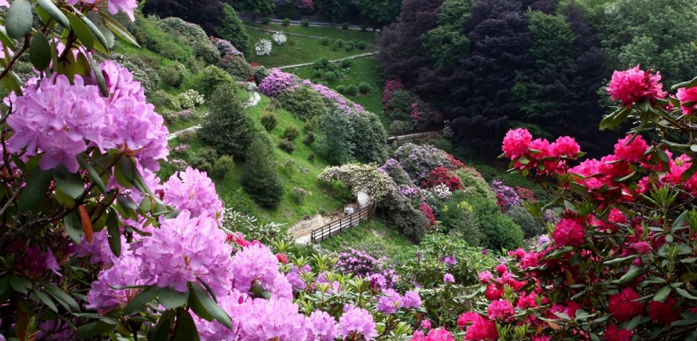 CANDELO IN FIORE, SANTUARIO DI OROPA E BIELLA CANDELO IN FIORE, SANTUARIO DI OROPA E BIELLA