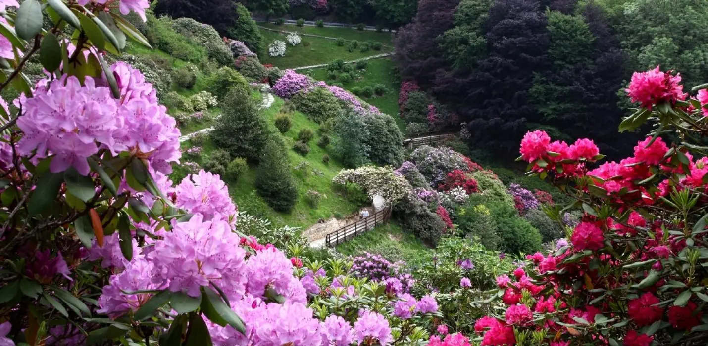 CANDELO IN FIORE, SANTUARIO DI OROPA E BIELLA