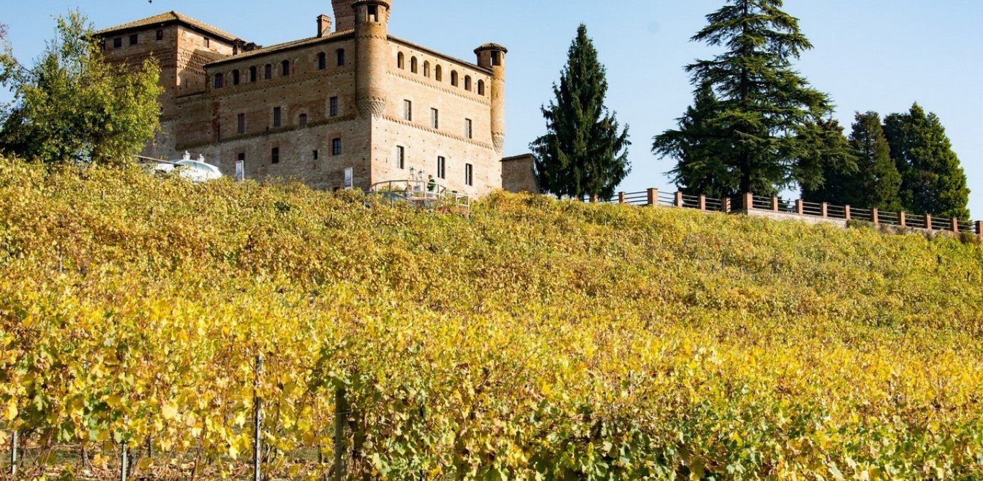 ALBA, LANGHE E MONFERRATO ALBA, LANGHE E MONFERRATO