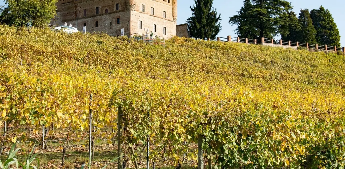 ALBA, LANGHE E MONFERRATO