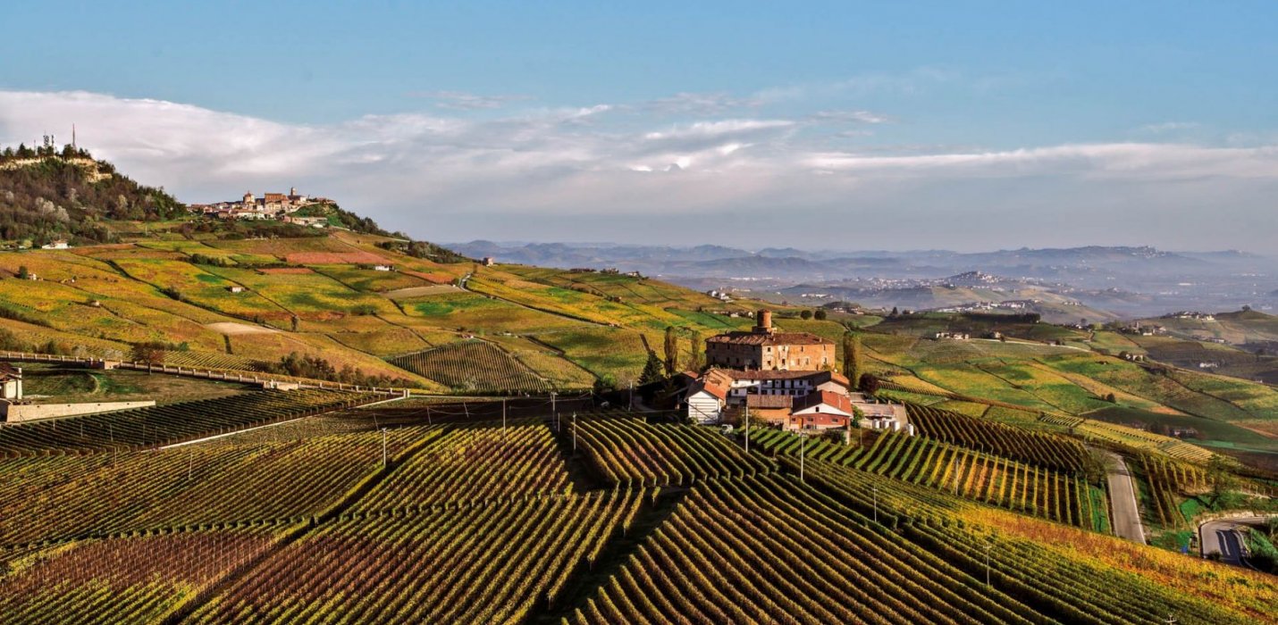 ALBA, LANGHE E MONFERRATO ALBA, LANGHE E MONFERRATO