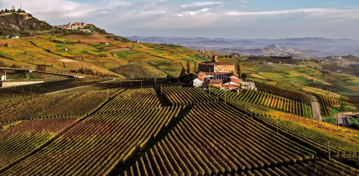 ALBA, LANGHE E MONFERRATO