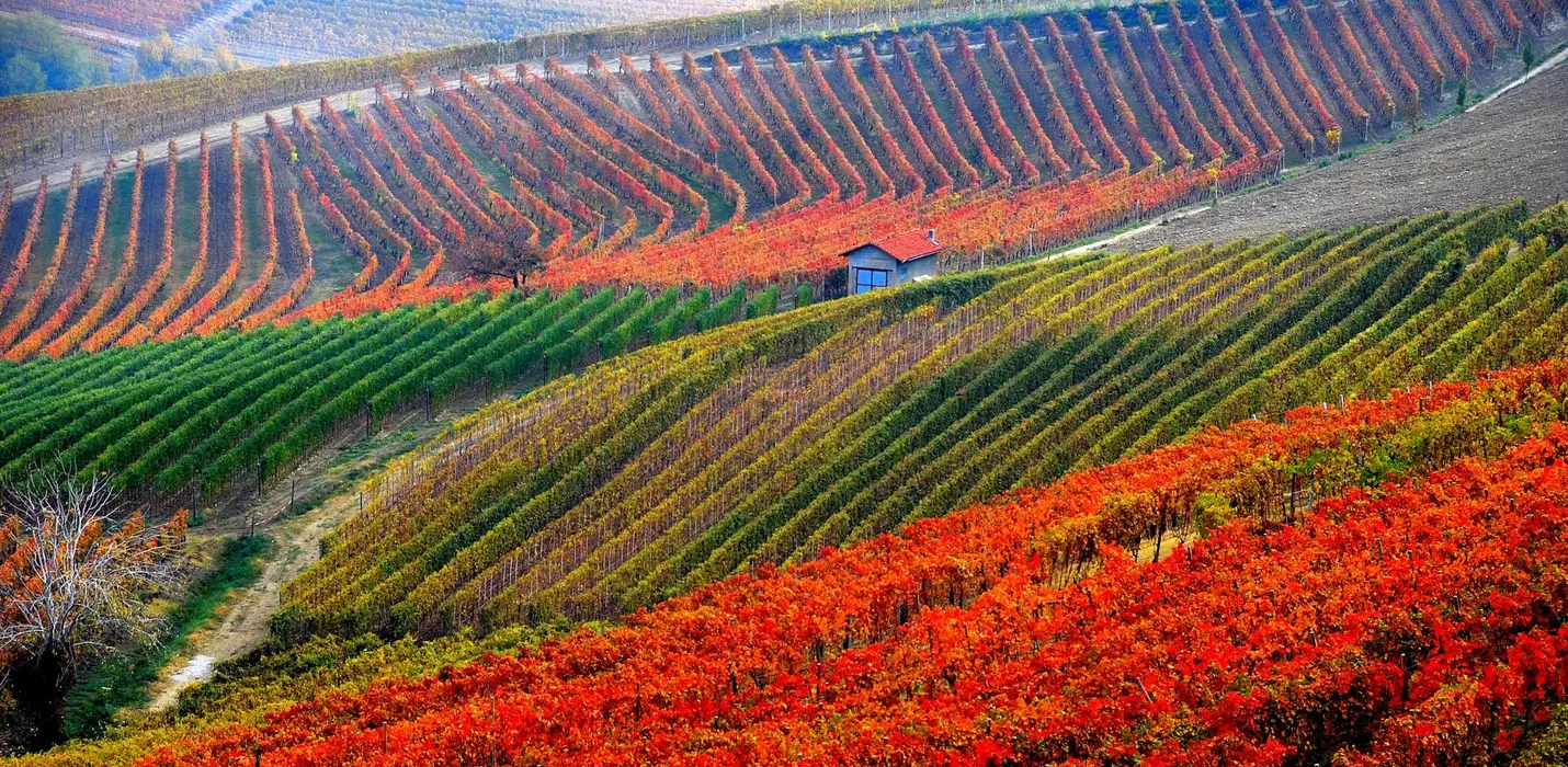 ALBA, LANGHE E MONFERRATO