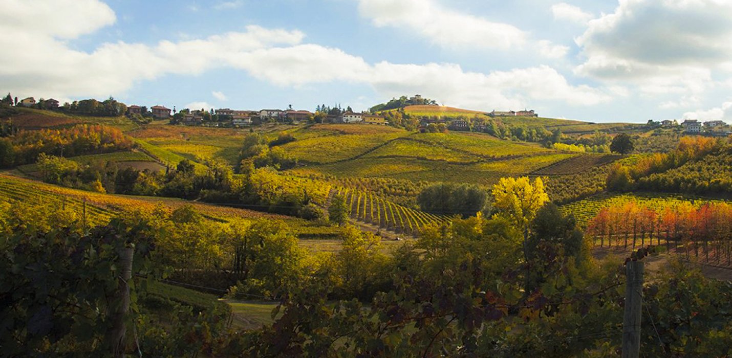 PIEMONTE TRA CANTINE E CASTELLI