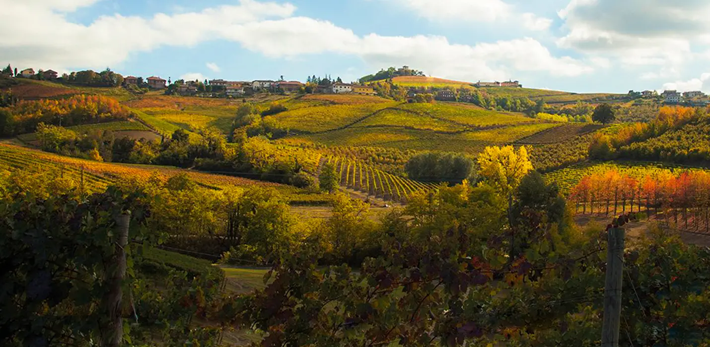 PIEMONTE TRA CANTINE E CASTELLI