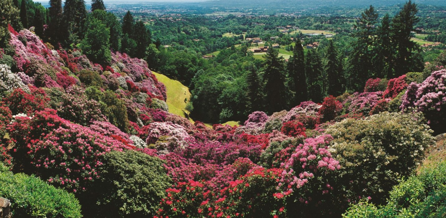 CANDELO IN FIORE, SANTUARIO DI OROPA E BIELLA CANDELO IN FIORE, SANTUARIO DI OROPA E BIELLA
