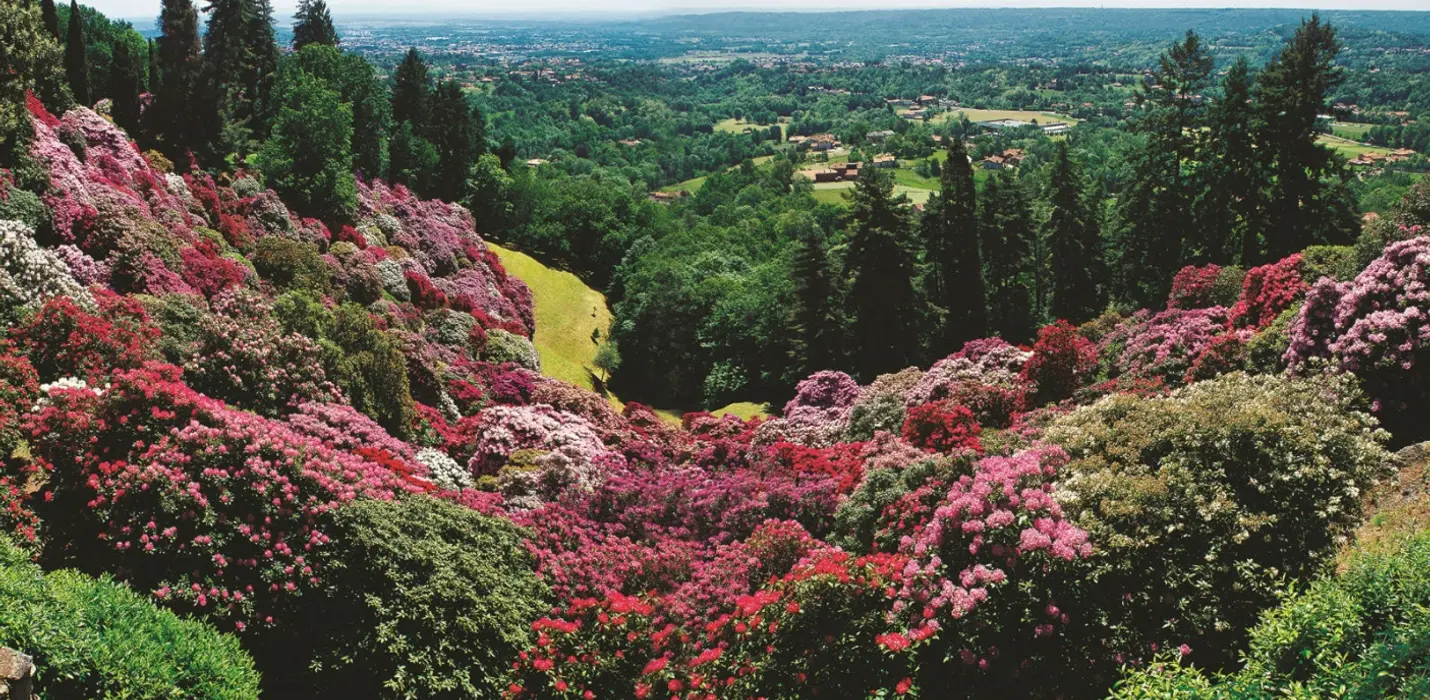 CANDELO IN FIORE, SANTUARIO DI OROPA E BIELLA