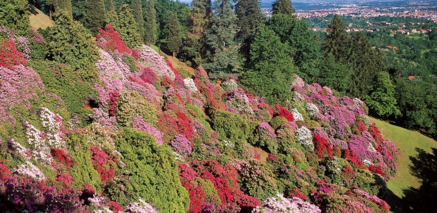 CANDELO IN FIORE, SANTUARIO DI OROPA E BIELLA CANDELO IN FIORE, SANTUARIO DI OROPA E BIELLA
