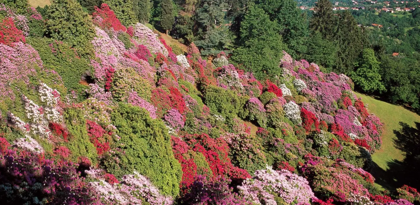 CANDELO IN FIORE, SANTUARIO DI OROPA E BIELLA