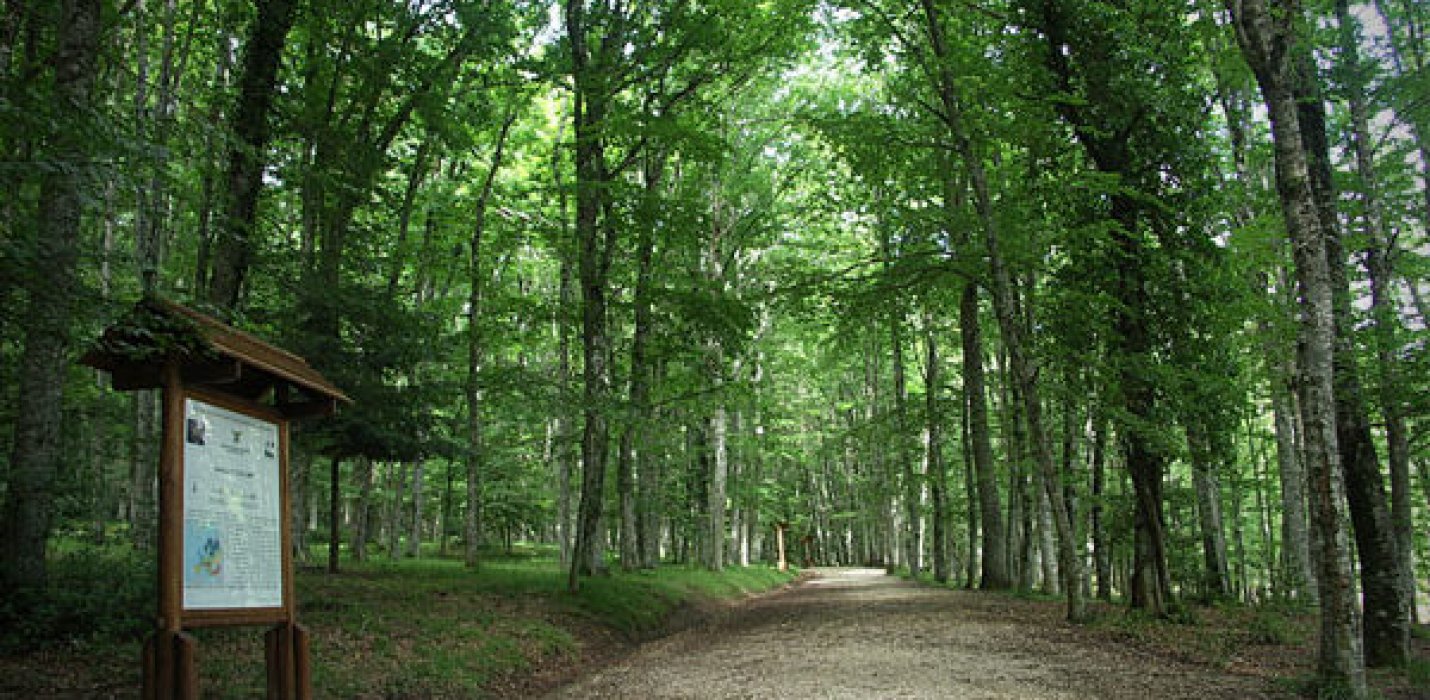 VIESTE, PESCHICI E LA FORESTA UMBRA