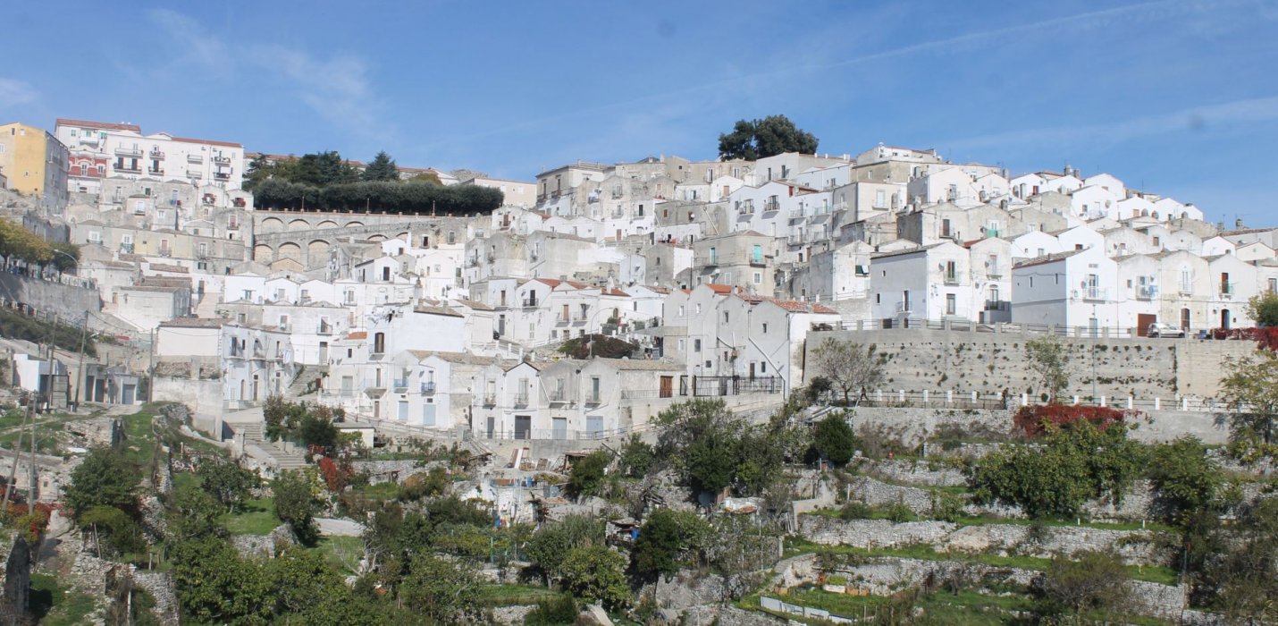 VIESTE, PESCHICI E LA FORESTA UMBRA