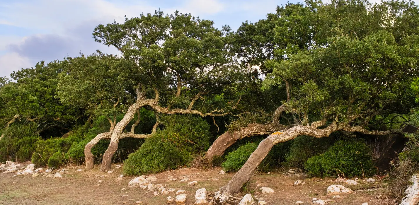 CAGLIARI E SARDEGNA DEL SUD