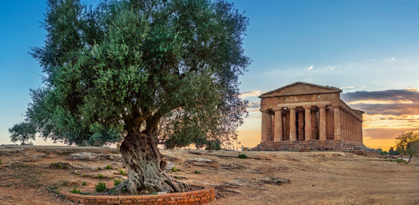 TOUR DA TRAPANI AD AGRIGENTO TOUR DA TRAPANI AD AGRIGENTO