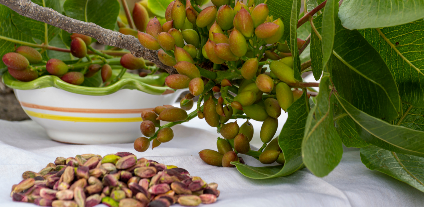 SICILIA D'AUTORE: DA TAORMINA A CALTAGIRONE SICILIA D'AUTORE: DA TAORMINA A CALTAGIRONE