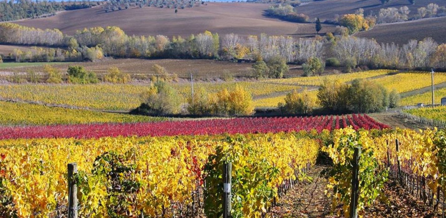 CORTONA  E AREZZO: AVVENTO TRA  ARTE E LUCI