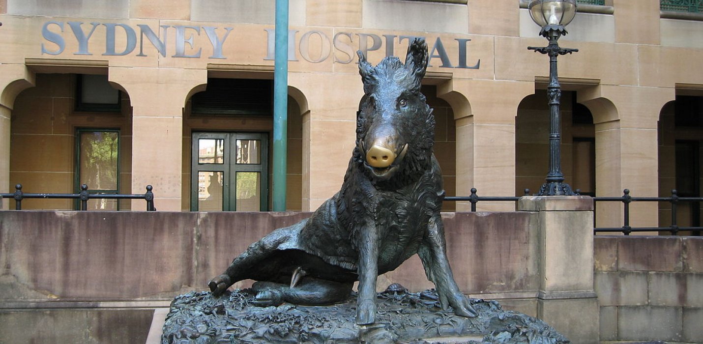 FIRENZE E GLI UFFIZI FIRENZE E GLI UFFIZI