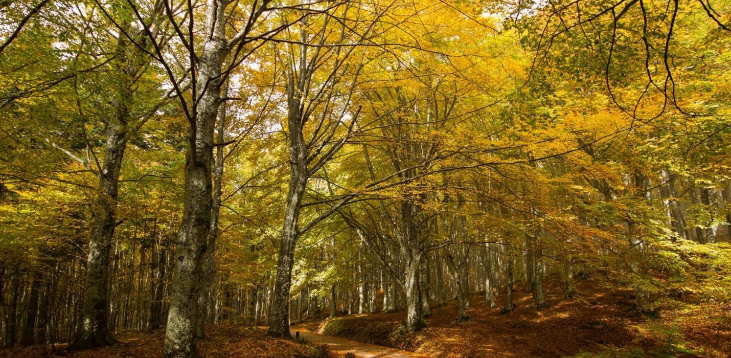 CAMALDOLI: LA DUCHESSA E L'ANTICA MAUSOLEA