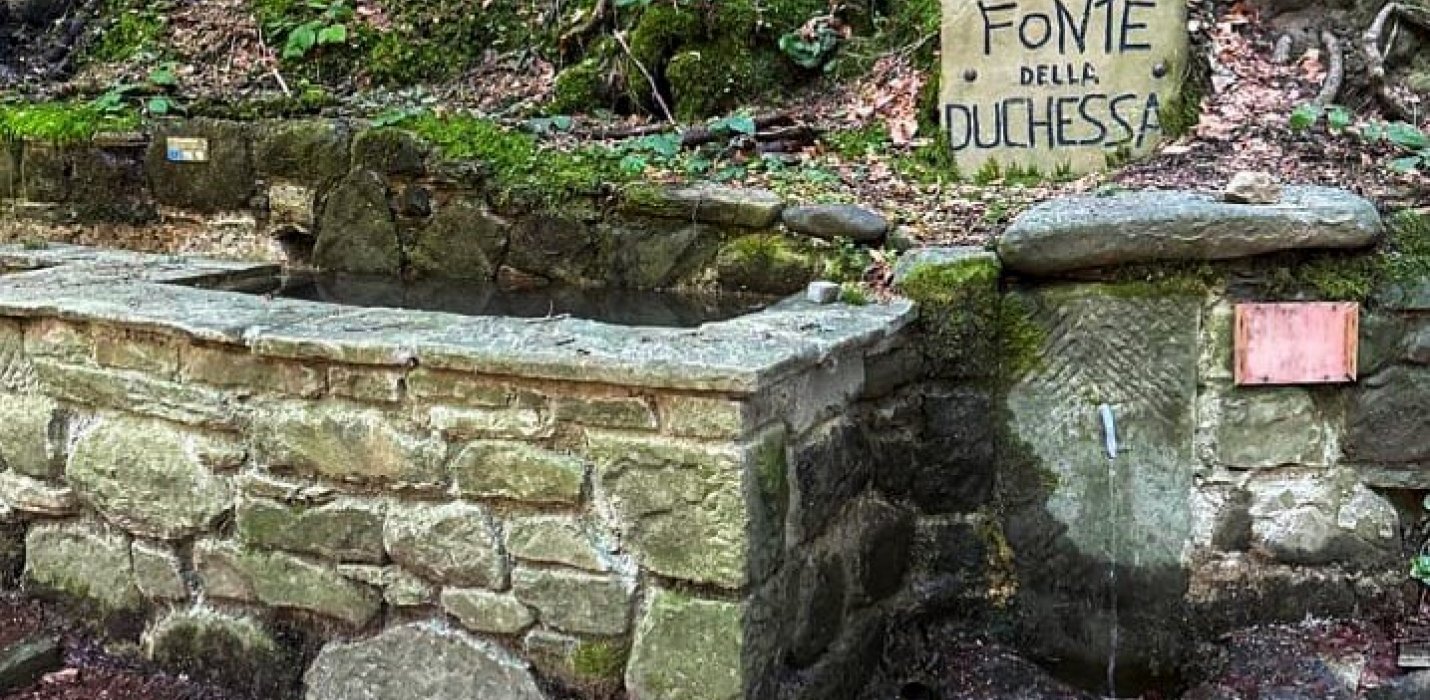 ASSAGGI DIVINI TRA FORESTE, CANTINE E MONASTERI SACRI