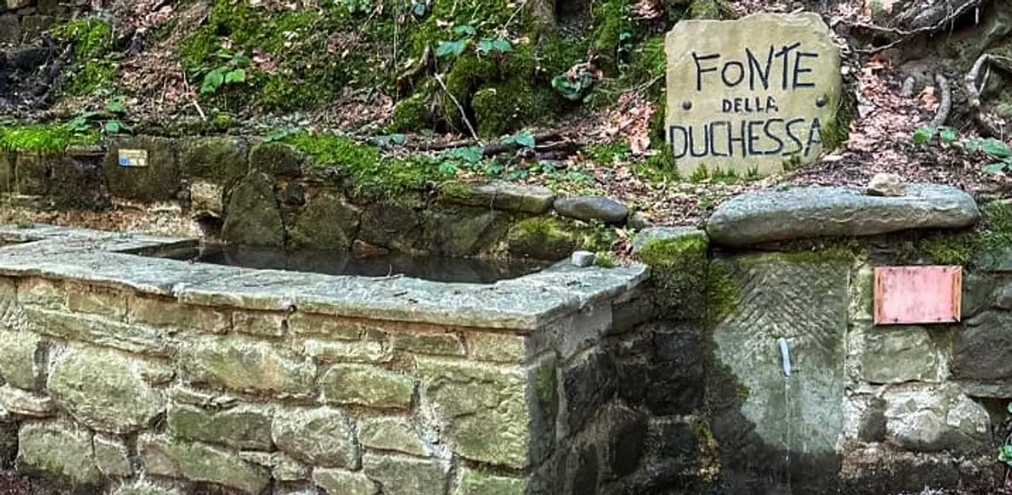 LA FONTE DELLA DUCHESSA E LE CANTINE SEGRETE DEI CAMALDOLESI