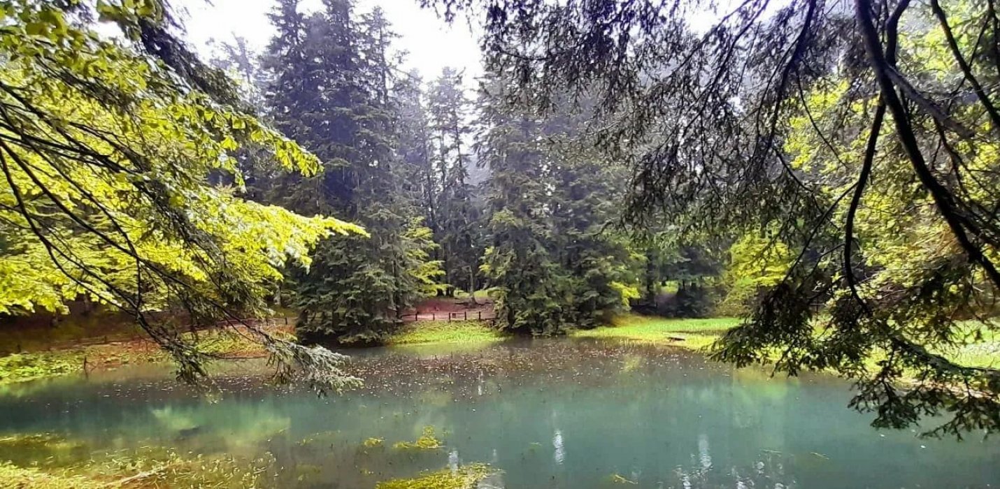 ASSAGGI DIVINI TRA FORESTE, CANTINE E MONASTERI SACRI