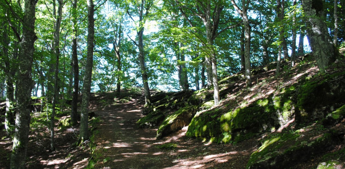 CAMALDOLI: LA DUCHESSA E L'ANTICA MAUSOLEA