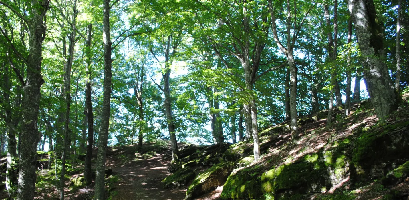 LA FONTE DELLA DUCHESSA E LE CANTINE SEGRETE DEI CAMALDOLESI
