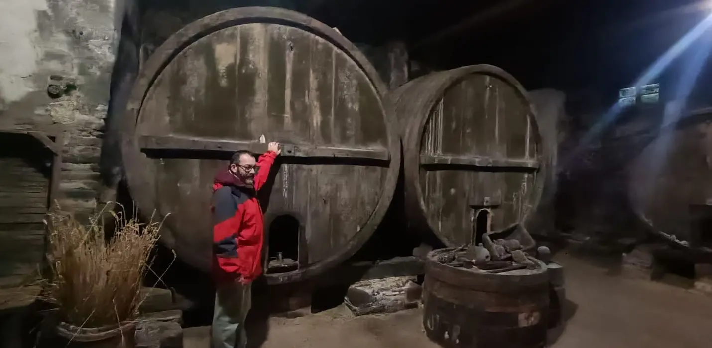 ASSAGGI DIVINI TRA FORESTE, CANTINE E MONASTERI SACRI