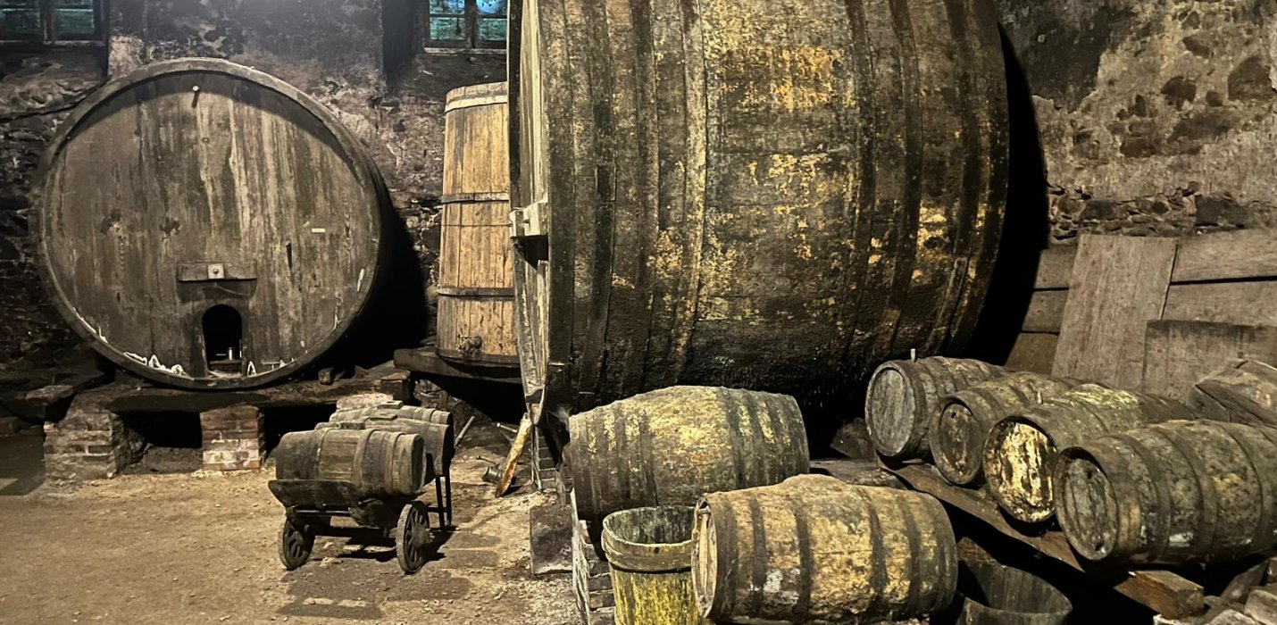 ASSAGGI DIVINI TRA FORESTE, CANTINE E MONASTERI SACRI