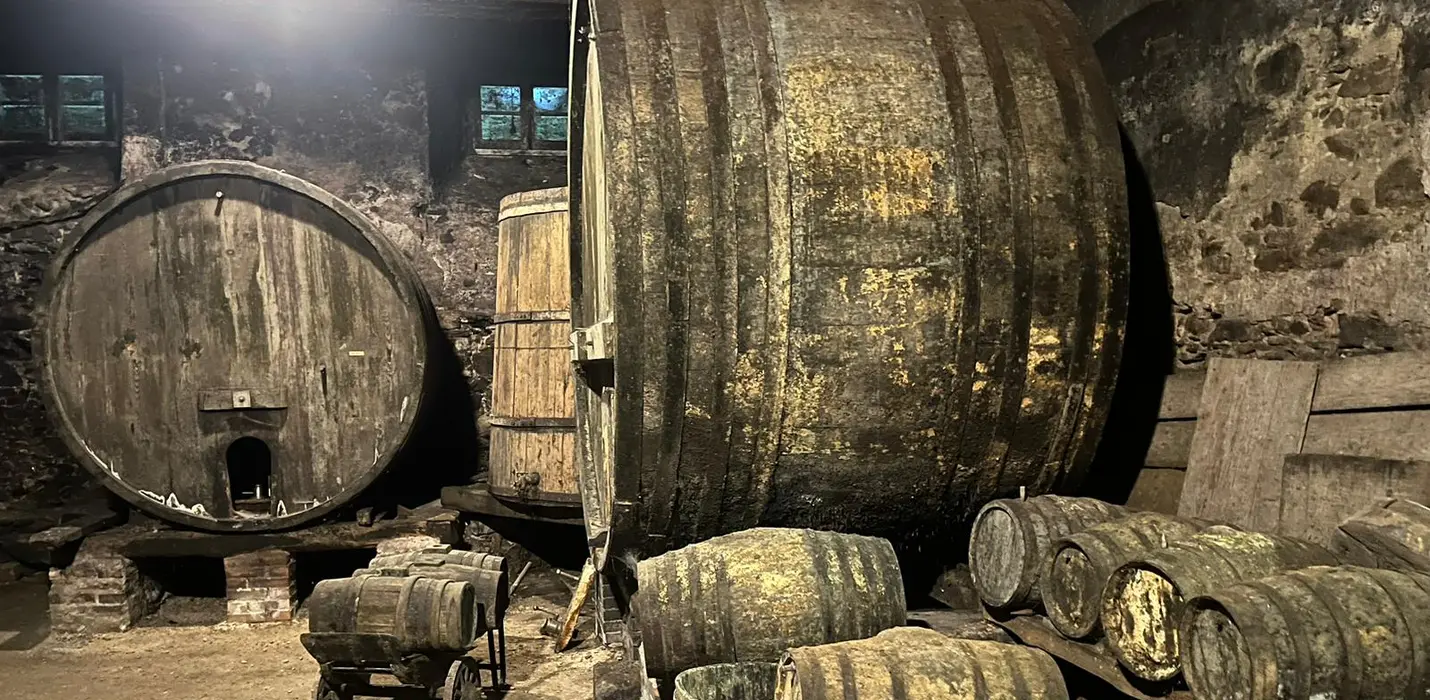 ASSAGGI DIVINI TRA FORESTE, CANTINE E MONASTERI SACRI