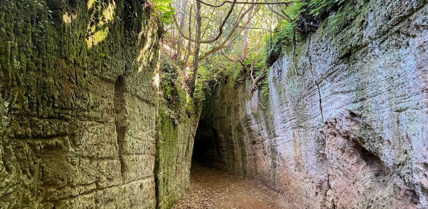 LE CITTA DEL TUFO: PITIGLIANO, SORANO E  SOVANA