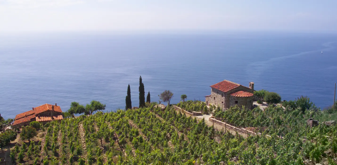 ISOLA D'ELBA