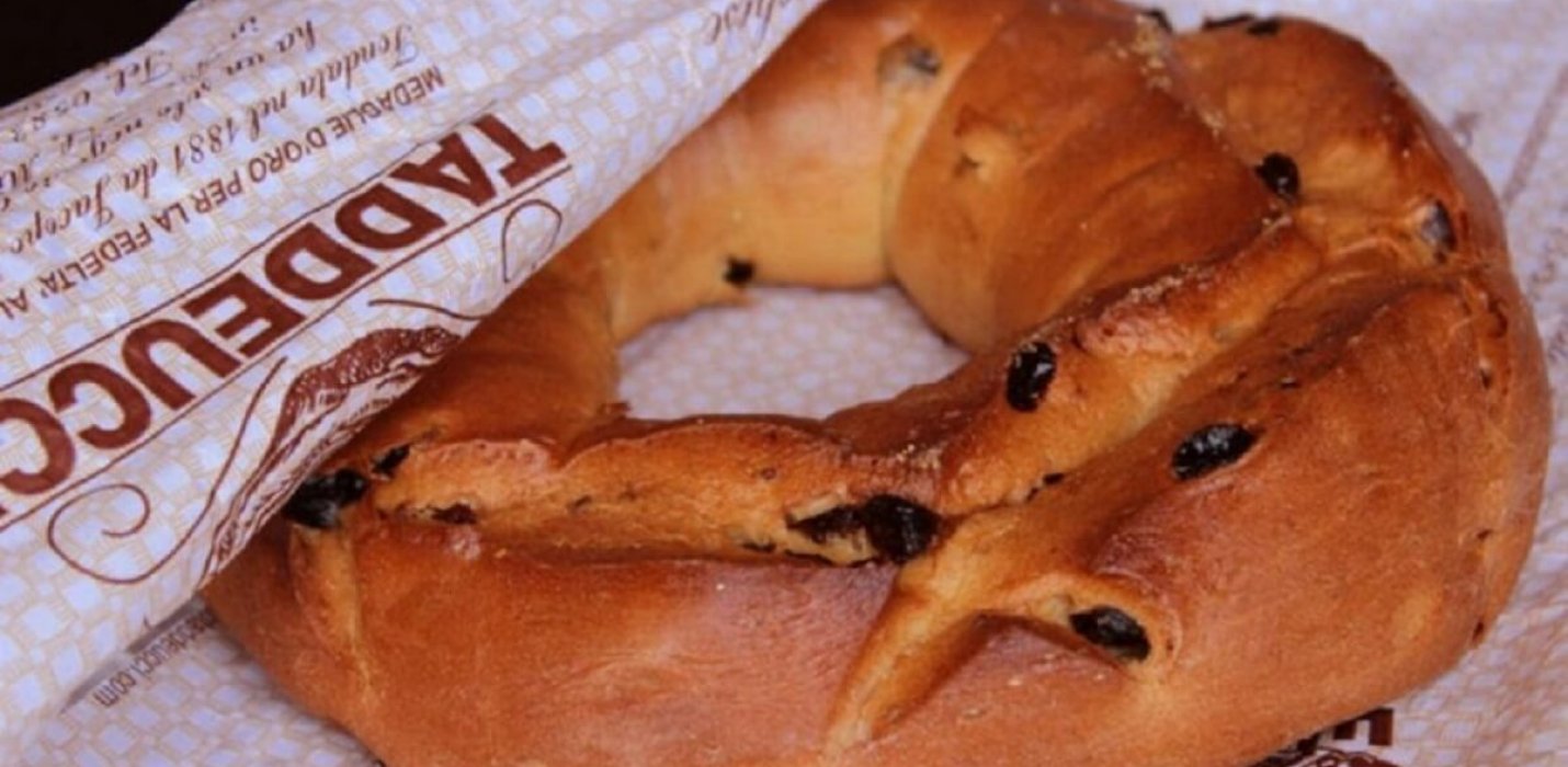 LUCCA LA CITTA FORTEZZA