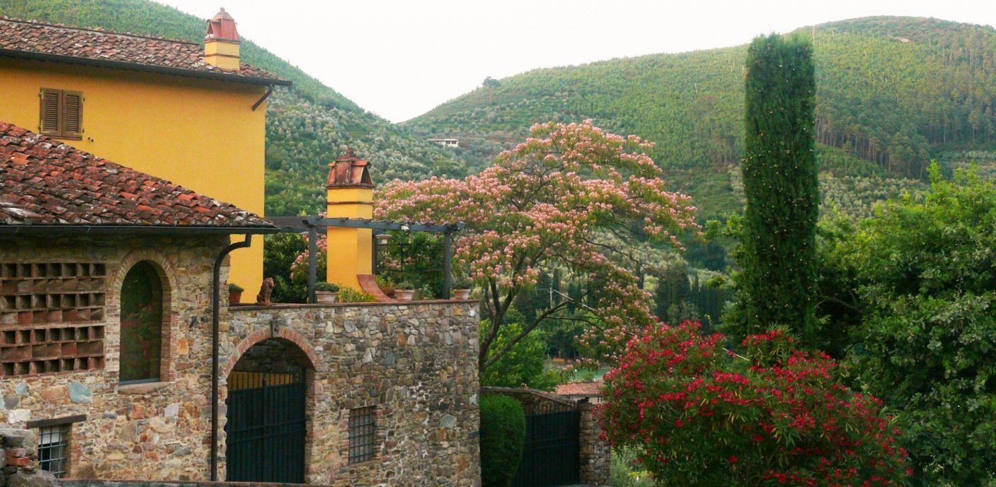 VILLA MARLIA E LE CAMELIE DELLA LUCCHESIA VILLA MARLIA E LE CAMELIE DELLA LUCCHESIA