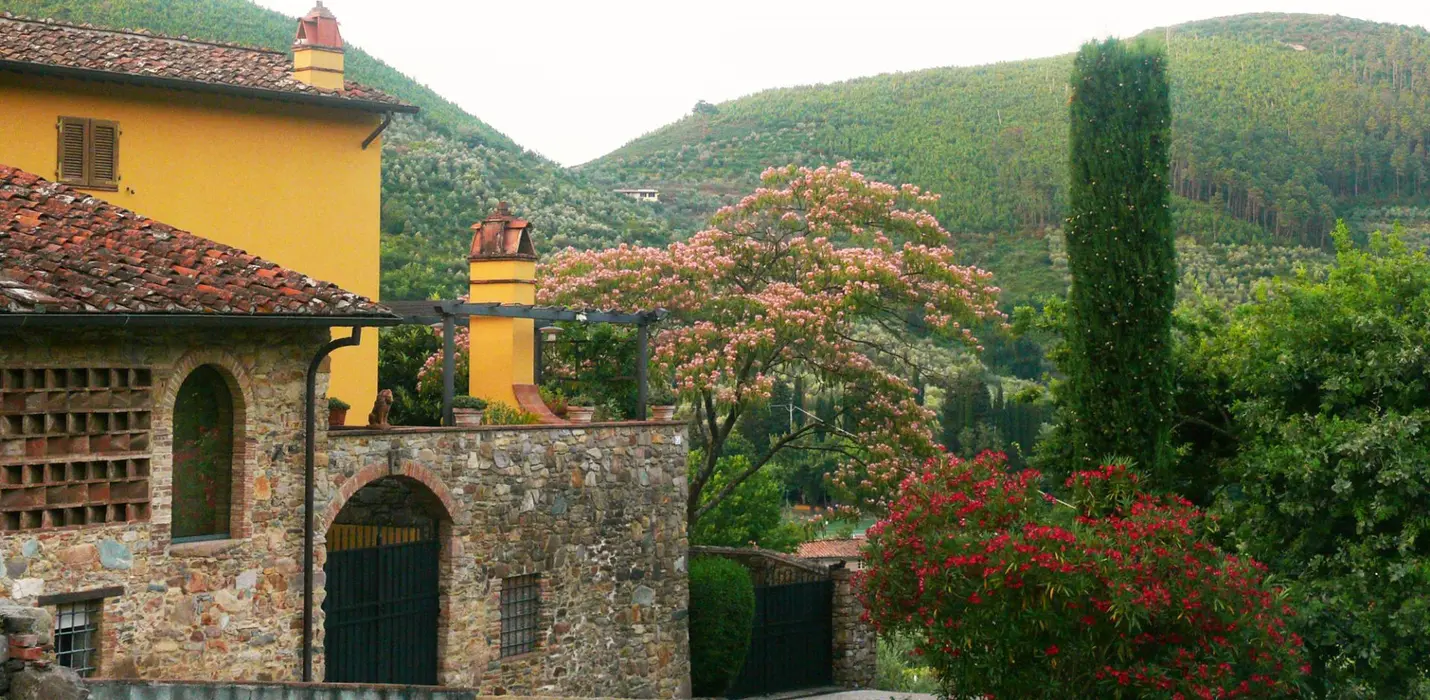 VILLA REALE E LE ANTICHE CAMELIE DELLA LUCCHESIA