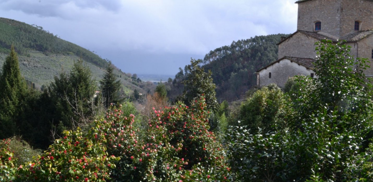 VILLA MARLIA E LE CAMELIE DELLA LUCCHESIA VILLA MARLIA E LE CAMELIE DELLA LUCCHESIA