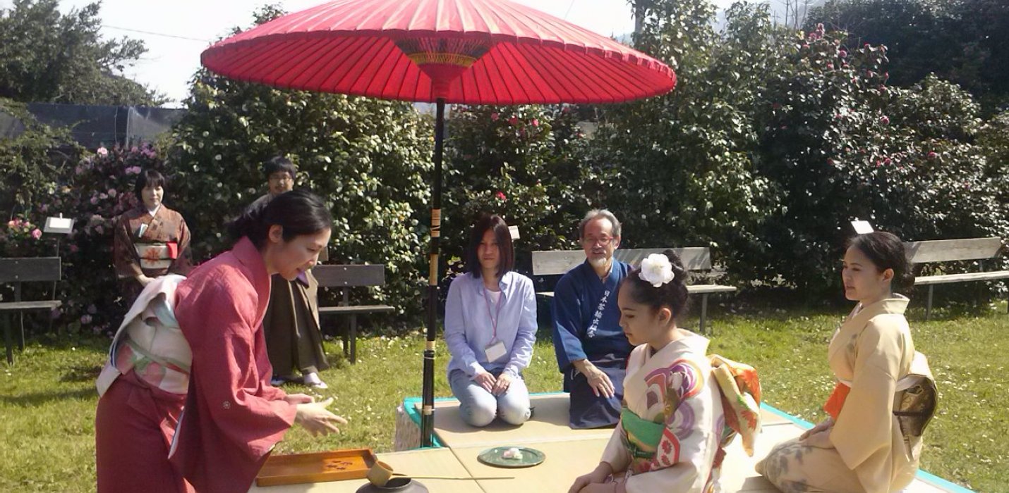 VILLA MARLIA E LE CAMELIE DELLA LUCCHESIA VILLA MARLIA E LE CAMELIE DELLA LUCCHESIA