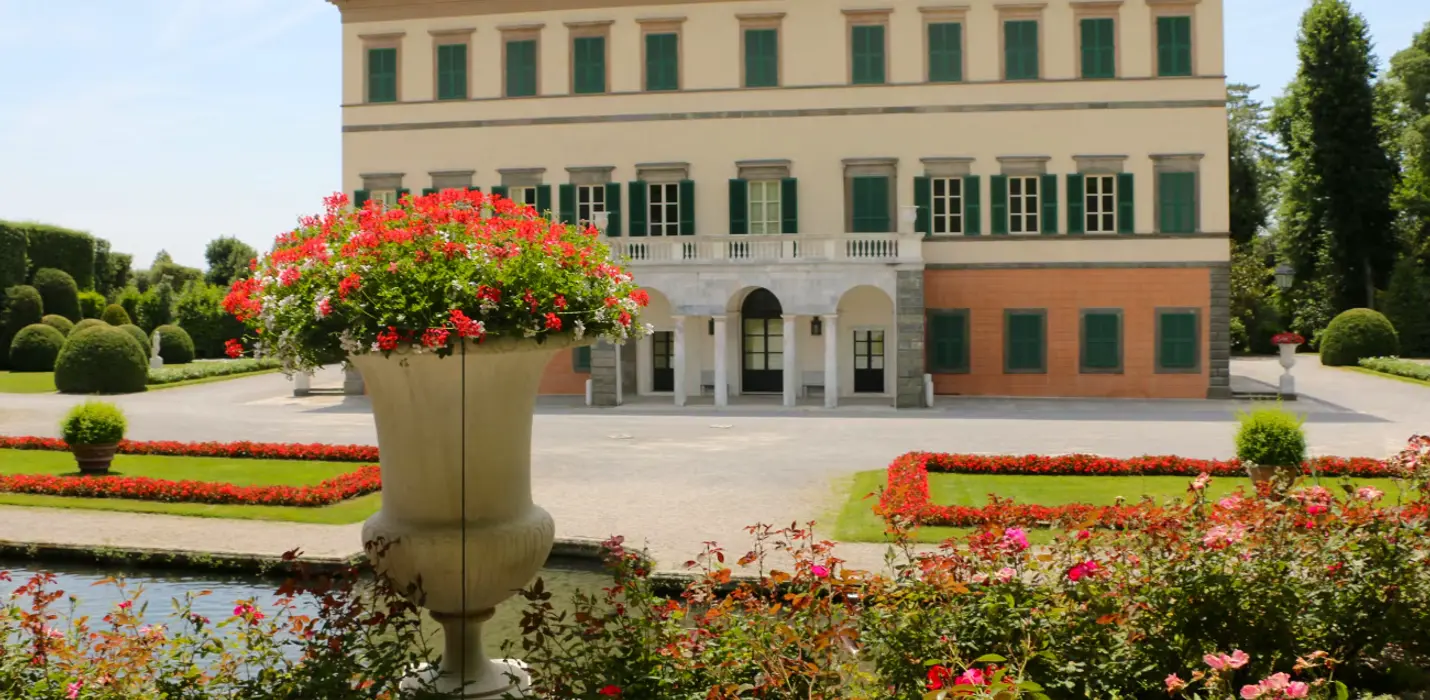 VILLA REALE E LE ANTICHE CAMELIE DELLA LUCCHESIA