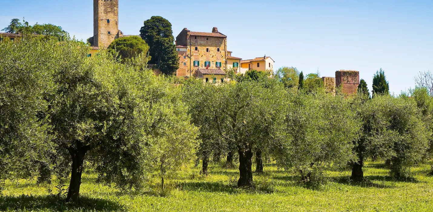 CERTOSA DI CALCI E VICOPISANO