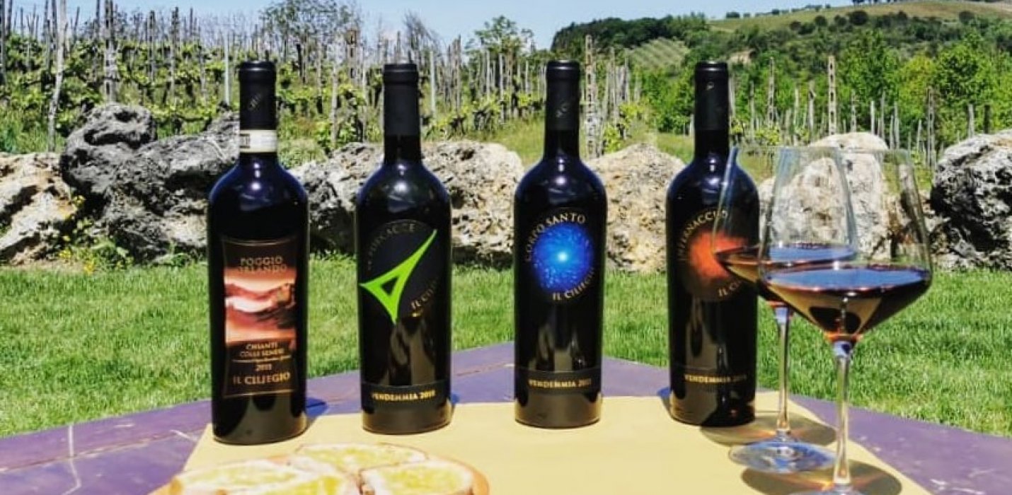 SAN GALGANO E CHIANTISHIRE