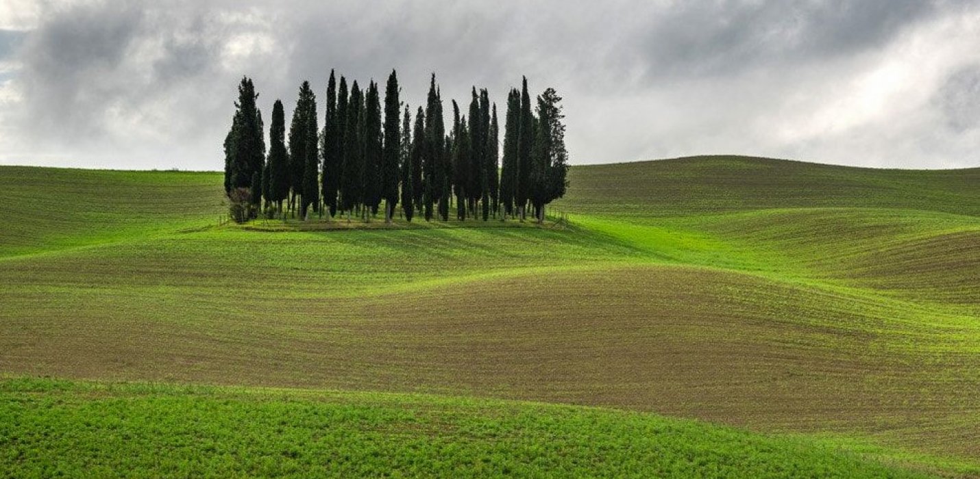 VAL D'ORCIA, PAESAGGI D'AUTORE VAL D'ORCIA, PAESAGGI D'AUTORE