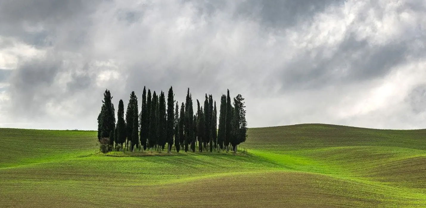 VAL D'ORCIA, PAESAGGI D'AUTORE