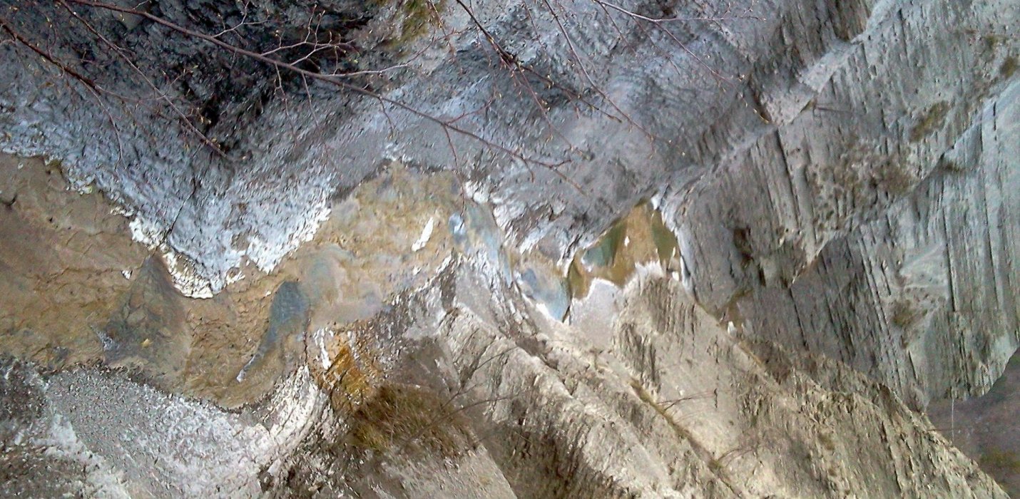 Foliage & mostra di Elliot Erwitt Foliage & mostra di Elliot Erwitt