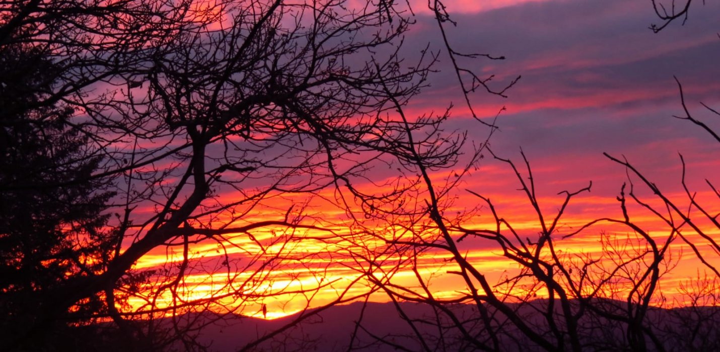 I BRAMITI DEL CERVO NELLA FORESTA DI CAMALDOLI I BRAMITI DEL CERVO NELLA FORESTA DI CAMALDOLI