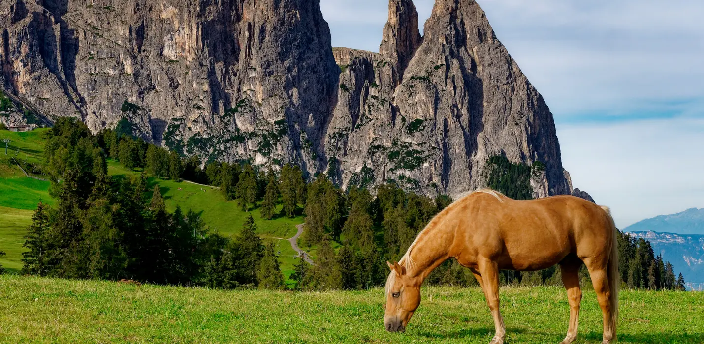SOGGIORNO IN VAL PUSTERIA 2025