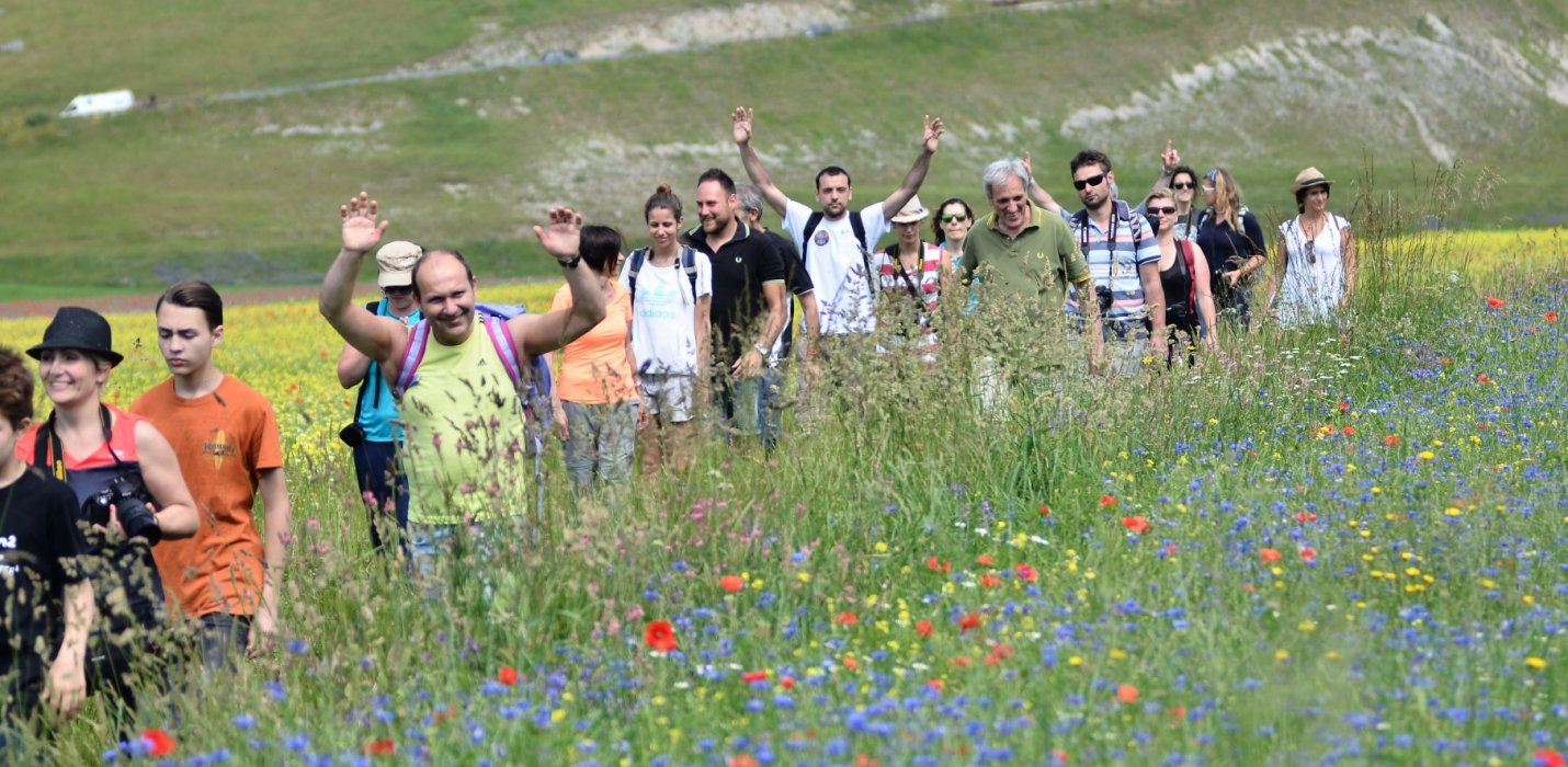 FIORITURE DI CASTELLUCCIO E CORINALDO FIORITURE DI CASTELLUCCIO E CORINALDO
