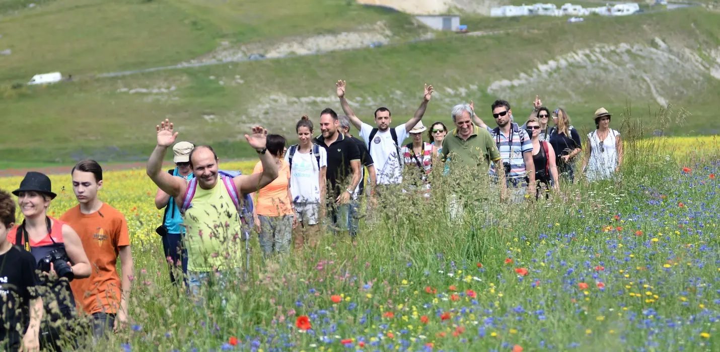 FIORITURA DI CASTELLUCCIO  E CASCIA