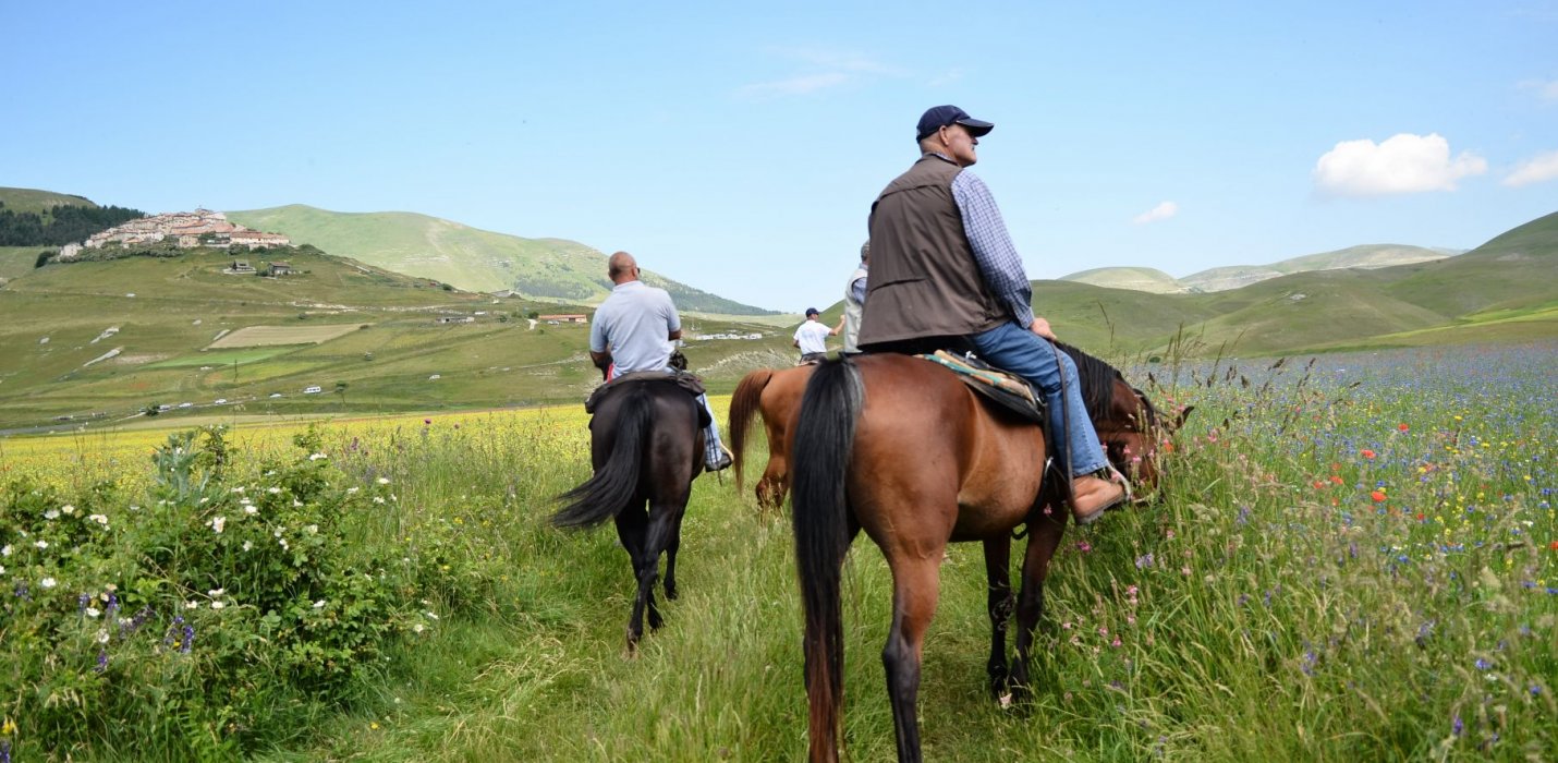 FIORITURE DI CASTELLUCCIO E CORINALDO FIORITURE DI CASTELLUCCIO E CORINALDO