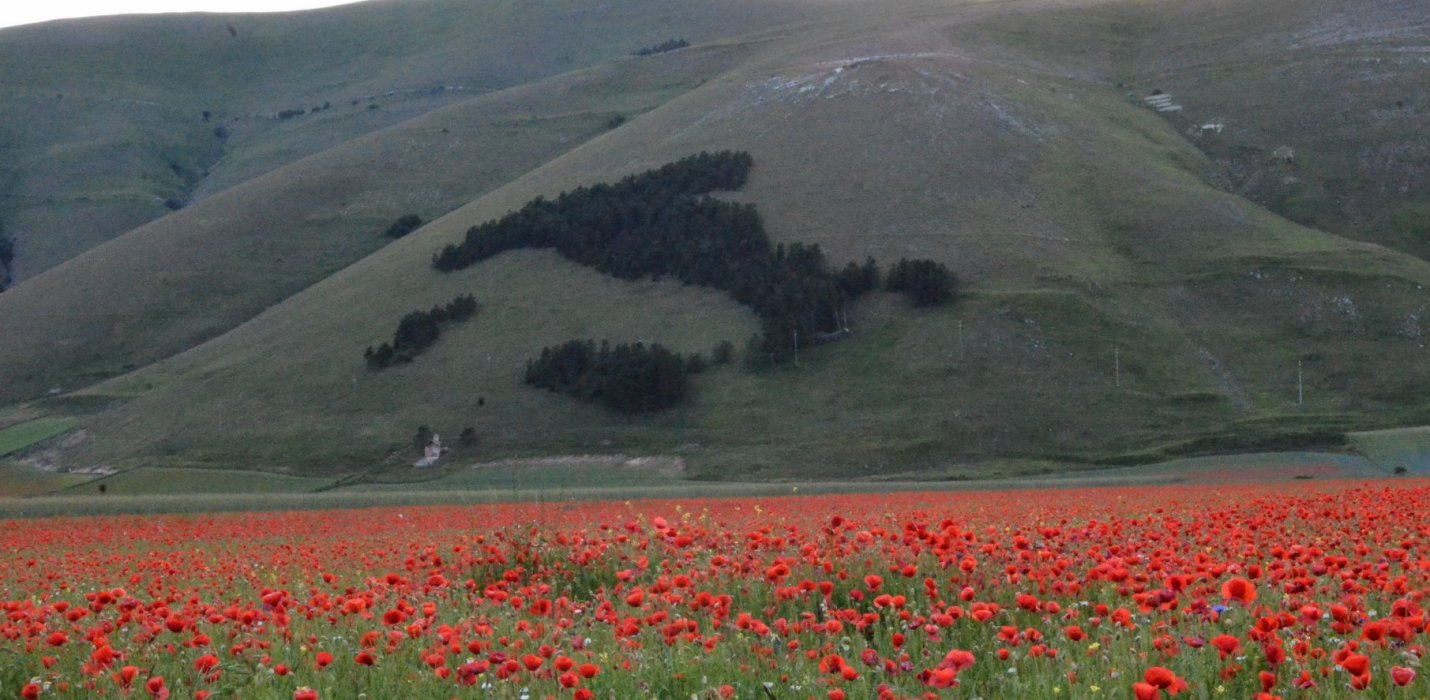 FIORITURE DI CASTELLUCCIO E CORINALDO FIORITURE DI CASTELLUCCIO E CORINALDO