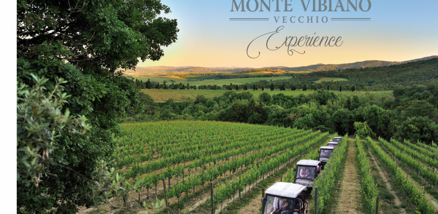 CITTA DELLA PIEVE e MONTE VIBIANO VECCHIO CITTA DELLA PIEVE e MONTE VIBIANO VECCHIO